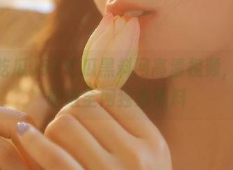 51吃瓜黑料网高清视频，带你吃遍全网独家黑料