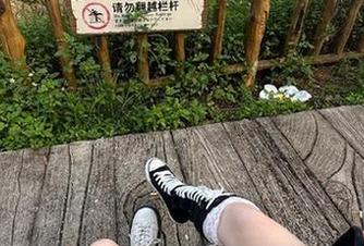 吃瓜网大本营官网安卓网址合集，最全面最方便的吃瓜利器