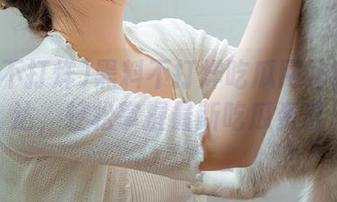 黑料不打烊吃瓜网站安卓直达，轻松掌握最新吃瓜资讯