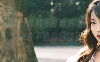 黑料不打烊传送门导航，带你永不迷路回首页