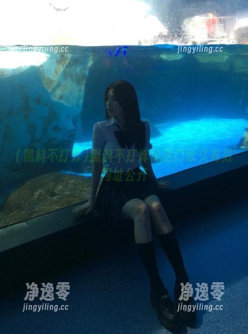 黑料不打烊传送门永久有效网址公开