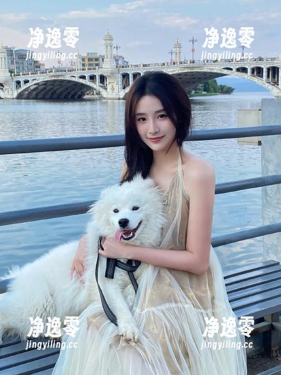 黑料老司机永久导航，揭秘圈内不为人知的秘密